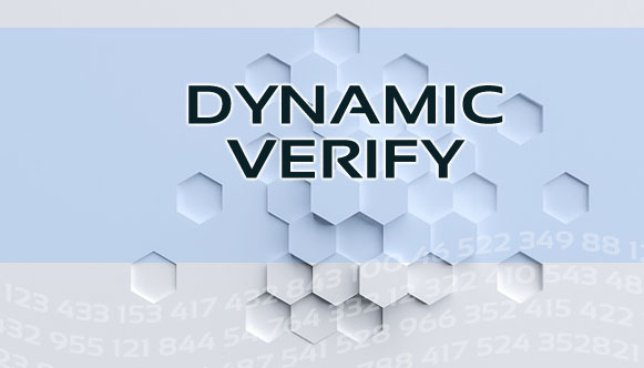 Dynamic Verify: System training Verify